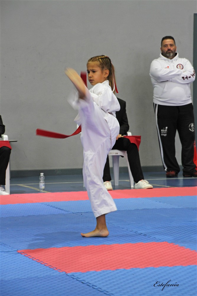 Copa Seul 2018 (436).jpg